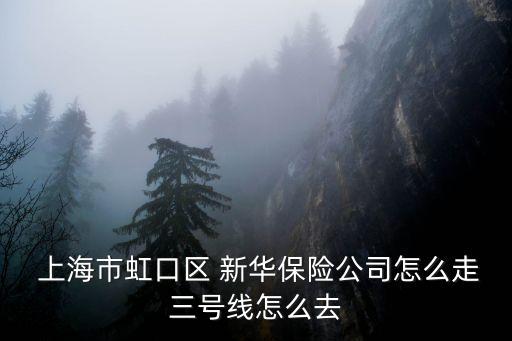  上海市虹口區(qū) 新華保險(xiǎn)公司怎么走三號線怎么去