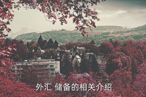 2000年中國(guó)外匯儲(chǔ)備,1999年中國(guó)外匯儲(chǔ)備