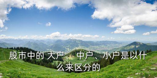股市中的 大戶、 中戶、小戶是以什么來區(qū)分的