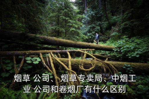  煙草 公司、 煙草專賣局、中煙工業(yè) 公司和卷煙廠有什么區(qū)別