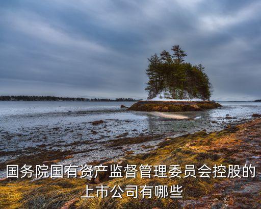 國務院國有資產監(jiān)督管理委員會控股的 上市公司有哪些