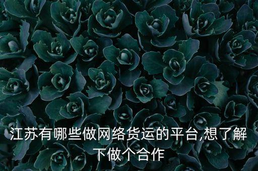 江蘇有哪些做網(wǎng)絡(luò)貨運(yùn)的平臺,想了解下做個合作