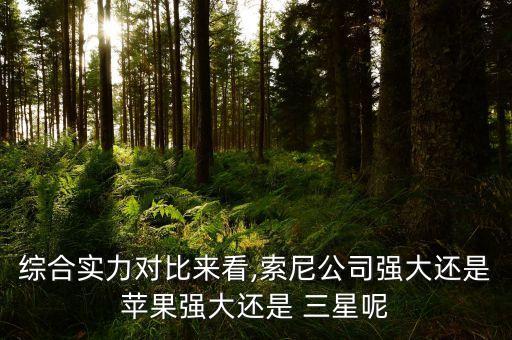 綜合實(shí)力對(duì)比來(lái)看,索尼公司強(qiáng)大還是蘋(píng)果強(qiáng)大還是 三星呢