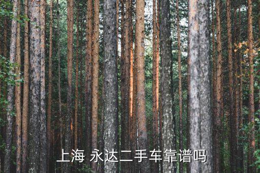  上海 永達(dá)二手車(chē)靠譜嗎