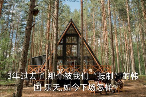 3年過去了,那個(gè)被我們“抵制”的韓國 樂天,如今下場(chǎng)怎樣