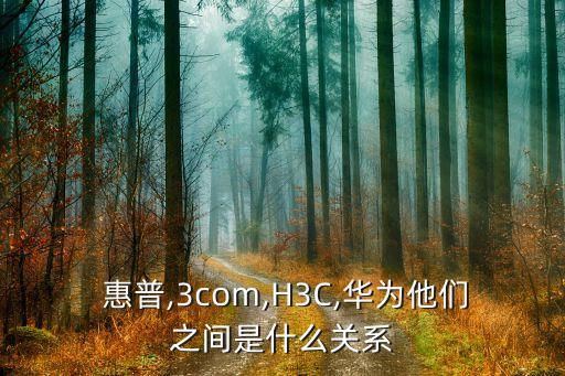  惠普,3com,H3C,華為他們之間是什么關系