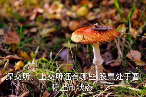 深交所、上交所還有哪些 股票處于暫停上市狀態(tài)