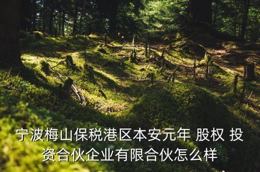 寧波梅山保稅港區(qū)本安元年 股權 投資合伙企業(yè)有限合伙怎么樣