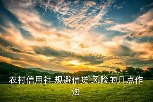 農(nóng)村信用社 規(guī)避信貸 風險的幾點作法