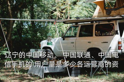 遼寧的中國移動、 中國聯(lián)通、中國電信手機的 用戶量是多少各運營商的資...