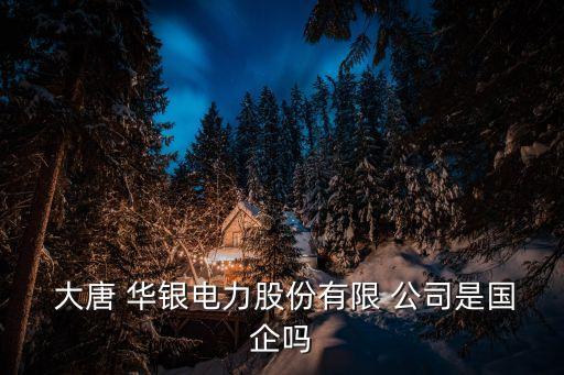  大唐 華銀電力股份有限 公司是國(guó)企嗎