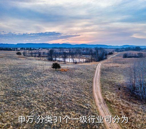 申萬 分類31個(gè)一級(jí)行業(yè)可分為