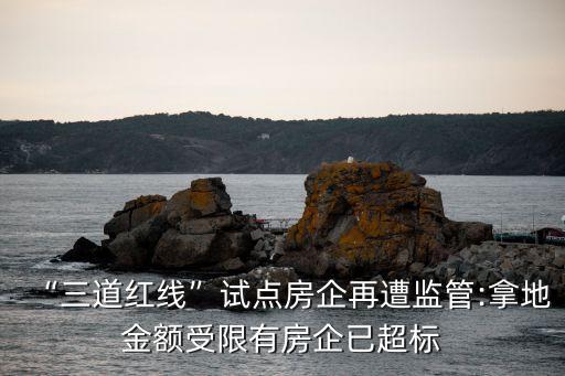 “三道紅線”試點房企再遭監(jiān)管:拿地金額受限有房企已超標
