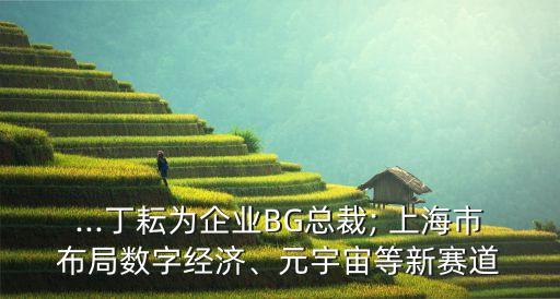 ...丁耘為企業(yè)BG總裁; 上海市布局數(shù)字經(jīng)濟、元宇宙等新賽道