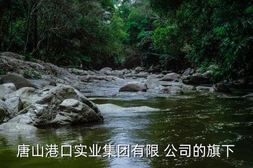 唐山港口實業(yè)集團(tuán)有限 公司的旗下
