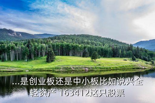 163412基金吧,興全輕資產163412基金