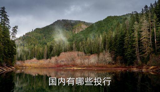 國(guó)內(nèi)有哪些投行