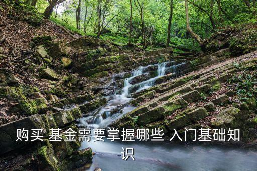購買 基金需要掌握哪些 入門基礎(chǔ)知識(shí)