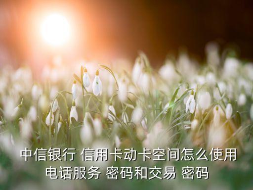  中信銀行 信用卡動(dòng)卡空間怎么使用電話服務(wù) 密碼和交易 密碼
