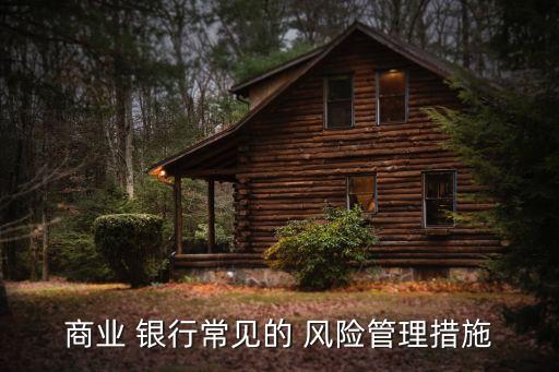 商業(yè) 銀行常見(jiàn)的 風(fēng)險(xiǎn)管理措施