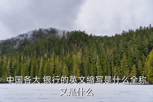 中國(guó)各大 銀行的英文縮寫(xiě)是什么全稱(chēng)又是什么