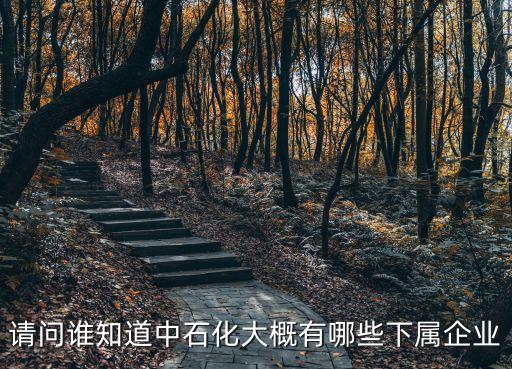 請(qǐng)問誰知道中石化大概有哪些下屬企業(yè)