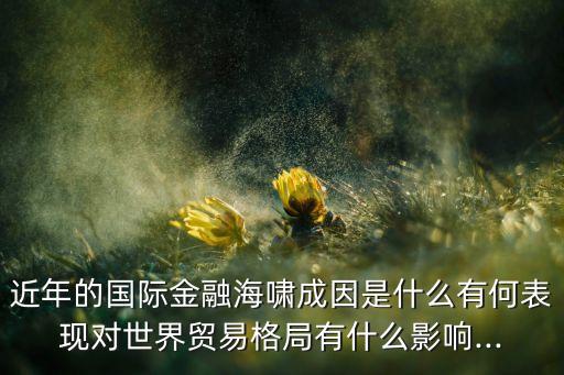 近年的國際金融海嘯成因是什么有何表現(xiàn)對世界貿易格局有什么影響...