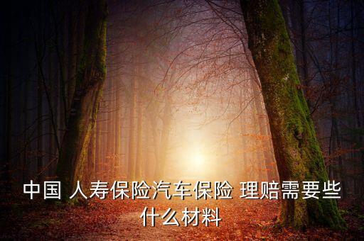 中國(guó) 人壽保險(xiǎn)汽車(chē)保險(xiǎn) 理賠需要些什么材料
