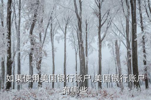 如果使用美國(guó)銀行賬戶(hù),美國(guó)銀行賬戶(hù)有哪些
