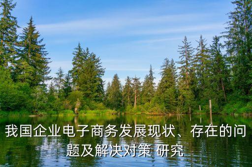 我國企業(yè)電子商務(wù)發(fā)展現(xiàn)狀、存在的問題及解決對(duì)策 研究