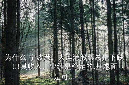 為什么 寧波港、大連港股票總是下跌!!!其收入、業(yè)績(jī)是穩(wěn)定的,基本面是可...