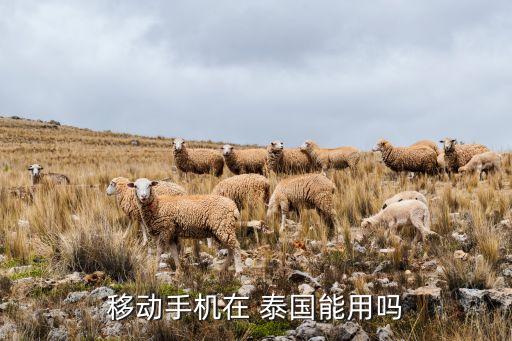 移動(dòng)手機(jī)在 泰國能用嗎
