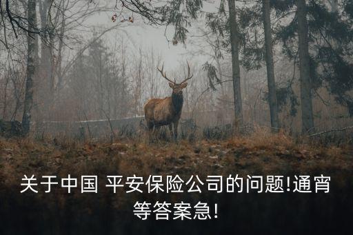 關(guān)于中國(guó) 平安保險(xiǎn)公司的問題!通宵等答案急!