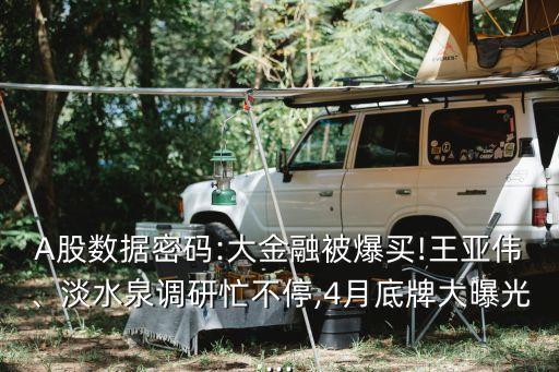 A股數(shù)據(jù)密碼:大金融被爆買!王亞偉、淡水泉調(diào)研忙不停,4月底牌大曝光...