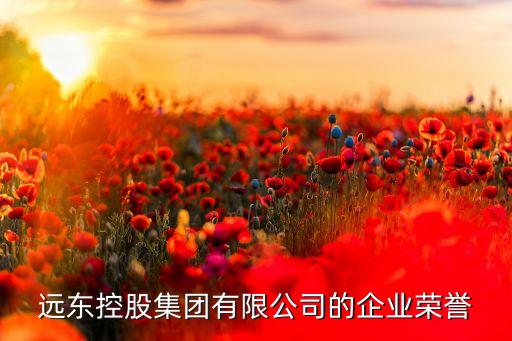 遠東控股集團有限公司的企業(yè)榮譽