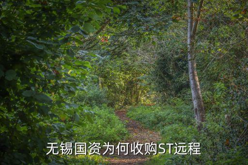 無(wú)錫國(guó)資為何收購(gòu)ST遠(yuǎn)程