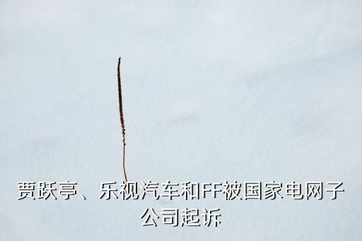 賈躍亭、樂(lè)視汽車和FF被國(guó)家電網(wǎng)子公司起訴