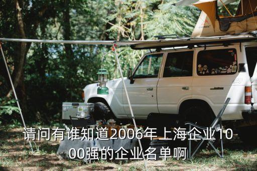 請(qǐng)問有誰知道2006年上海企業(yè)1000強(qiáng)的企業(yè)名單啊