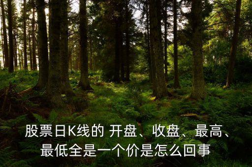  股票日K線的 開盤、收盤、最高、最低全是一個(gè)價(jià)是怎么回事