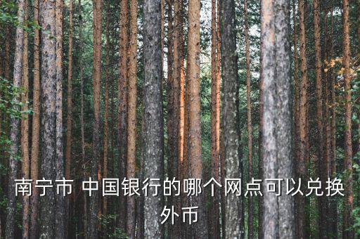 南寧市 中國(guó)銀行的哪個(gè)網(wǎng)點(diǎn)可以兌換外幣