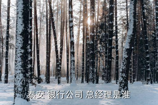 銀行總經理,中國郵政儲蓄銀行總經理