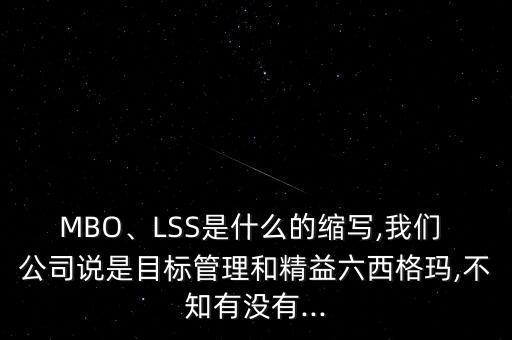 MBO、LSS是什么的縮寫,我們 公司說是目標管理和精益六西格瑪,不知有沒有...