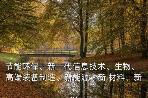 節(jié)能環(huán)保、新一代信息技術(shù)、生物、 高端裝備制造、新能源、新 材料、新...