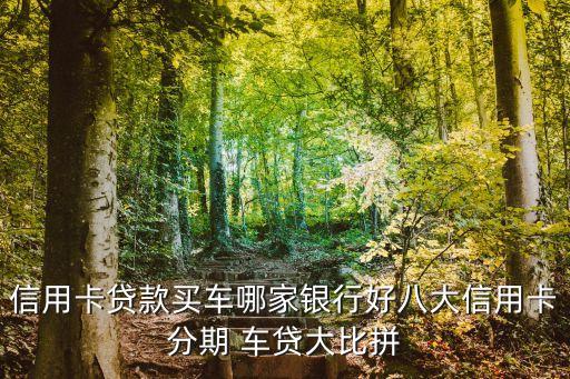 信用卡貸款買(mǎi)車(chē)哪家銀行好八大信用卡分期 車(chē)貸大比拼