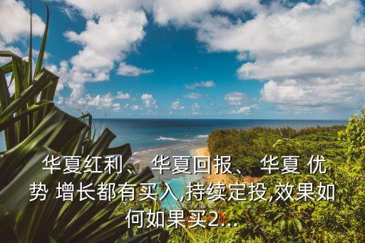  華夏紅利、 華夏回報(bào)、 華夏 優(yōu)勢(shì) 增長(zhǎng)都有買入,持續(xù)定投,效果如何如果買2...