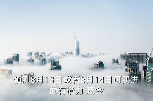 預測8月13日或者8月14日可買進的有潛力 基金