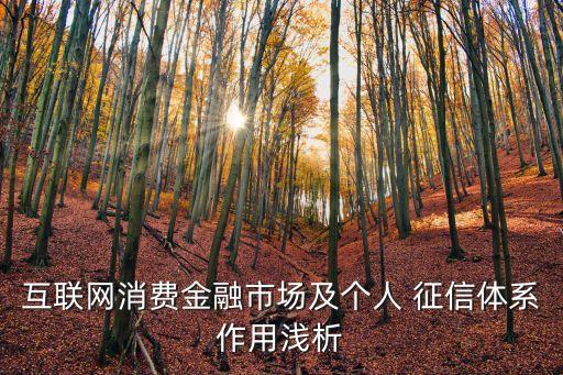 互聯(lián)網(wǎng)消費(fèi)金融市場及個(gè)人 征信體系作用淺析