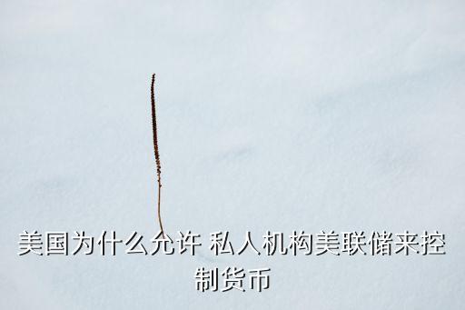 美國(guó)為什么允許 私人機(jī)構(gòu)美聯(lián)儲(chǔ)來控制貨幣