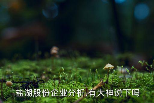 2015鹽湖集團各公司業(yè)績