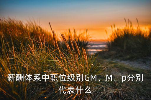 薪酬體系中職位級(jí)別GM、M、p分別代表什么